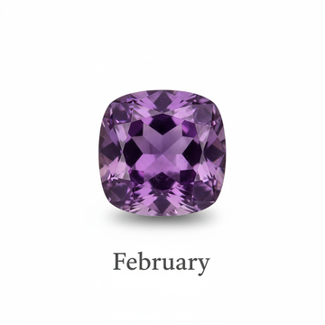 FEBRUARY